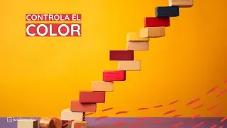 8. Controla el color con el BALANCE DE BLANCOS. Por qué tus fotos tienen colores raros.