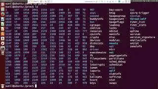 Detailed Explanations of Linux File System(Raspberry Pi &Ubuntu)