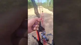 быстроремонт лука