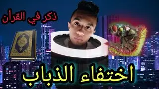 ماذا يحدث اذا انقرض الذباب | سبحان الله