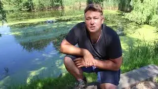 Duckweed is becoming a problem. A real disaster!