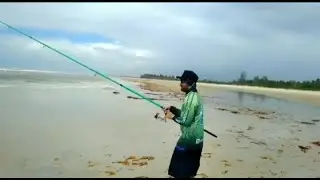 ELE APARECEU MAIS UMA VEZ,NA PESCARIA DE PRAIA.