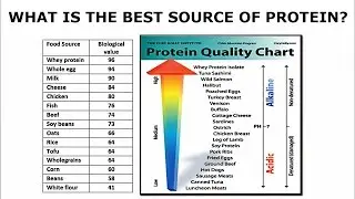 What is the best source of protein from a biological perspective?