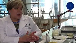 Fibras Prebióticas, un beneficio para la salud