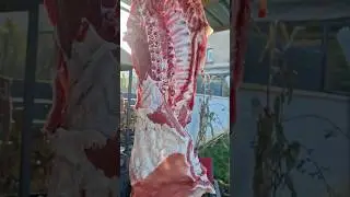 Будет Шашлык Машлык в Тандыре 