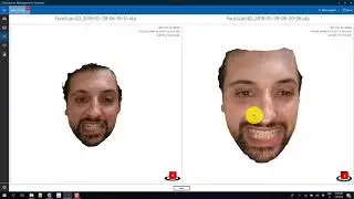 Face Scan Comparison