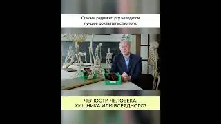 Челюсти человека: ХИЩНИКА или ВСЕЯДНОГО? Полный ролик в комментариях! #shorts