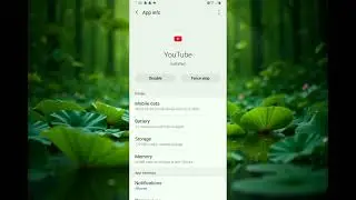how to reset youtube settings on android, reset youtube app, youtube setting reset 