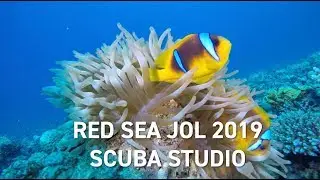 Red sea Jol Promo - Scuba Studio