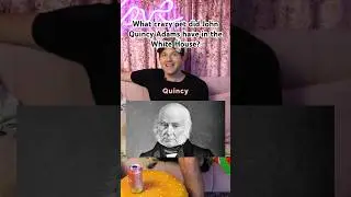 What crazy pet did John Quincy Adams have in the White House? #shorts