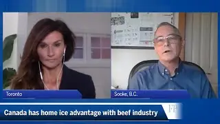 How to fix Canadian beef industry's woes