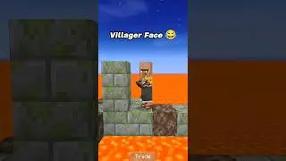 Can villager complete this parkour🤔 
