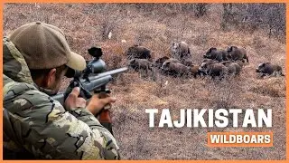 The Biggest WildBoar of my Life! 🐗 Hunting giant boars in Tajikistan.