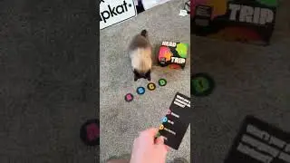 Head trip!