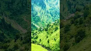 Naran Kaghan Valley I Amazing Pakistan vlog #narankaghan #naranvalley #naturalscenary #trending