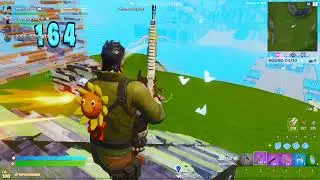 So Sorry Chicken