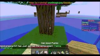 Minecraft skywars lets play