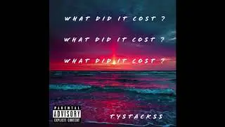 What did It Cost ? (prod. Yungdzaa)