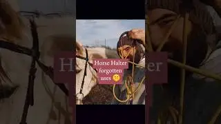 This might come in handy #horsetips #ropehalter #horsemanship #equestrian