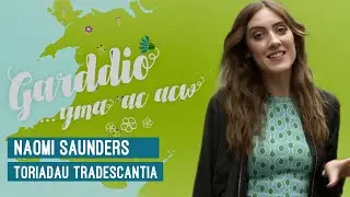 Garddio a Mwy | Garddio... Yma ac Acw : Toriadau Tradescantia