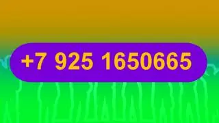 olivadar 03