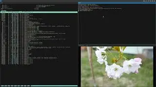 Orange Pi Zero 3 - hardware HEVC