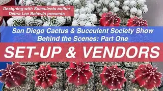Behind the Scenes at the SDCSS Part One: SHOW SET-UP & VENDORS