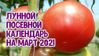 Лунный посевной календарь на март 2021 года. Агрогороскоп на март 2021