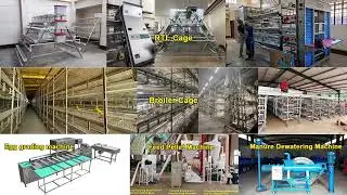 HIGHTOP Automatic Broiler and Layer Chicken Equipment