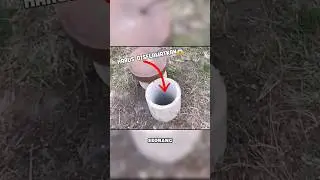 Most Heroic Animal Rescue😱 