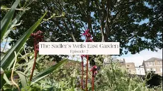 The Sadlers Wells East Garden Episode 2