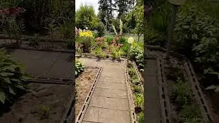 Дача цветочки