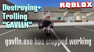 DESTROYING GAVLLN )Owner of flamingo raid group) hehe | ROBLOX