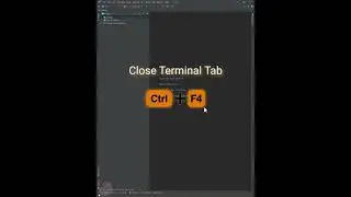 WebStorm: Terminal, Settings and Shortcuts