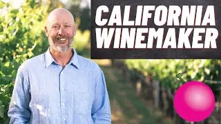 Winemaker In CALIFORNIA! 🇺🇸🥂#wine #california