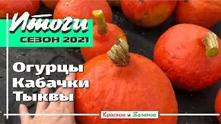 Огурцы, кабачки, тыквы  2021. Итоги сезона