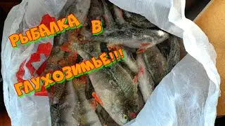 Не плохая рыбалка в глухозимье!!! Ловля окуня в не погоду. Зимняя рыбалка