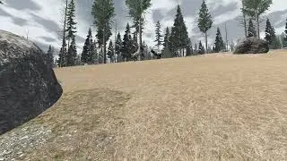 2 BULL ELK FIGHTING FOR HERD! WOLF QUEST