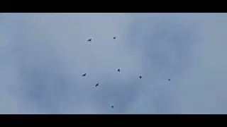 Самара Володя Рагозин. 19.05.23 вечерний гон