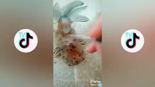 3D PaintingTikTok Videos Compilation 2019