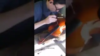 Start to Finish Violin Set up Time Lapse #strings #violin