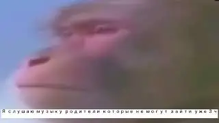 Ахааха жиза я в полной комнате🧸