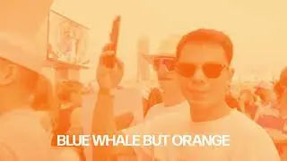 Whethan x Emei - SUNNYD (Lyric Video)