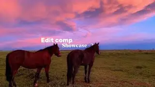 •Edit comp showcase•