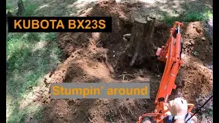 Kubota BX23S: Stumpin' Around