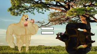 Doge Eats A Sausage And Dies || Doge Meme