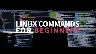 Top 10 Linux commands for beginners | Most important command in Linux 