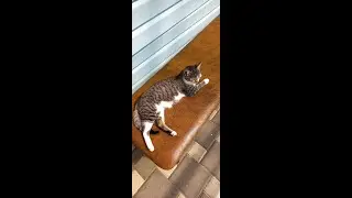 Каким ветром меня занесло сюда?