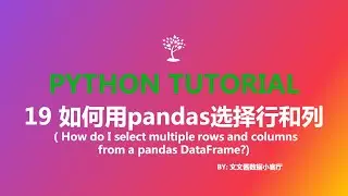 19 how do I select multiple rows and columns from a pandas DataFrame