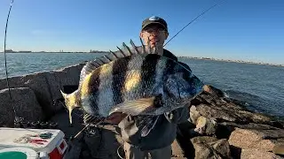 TEXAS SHEEPSHEAD are BACK!!